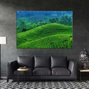תמונת קנבס לסלון לעיצוב הבית שדות תה