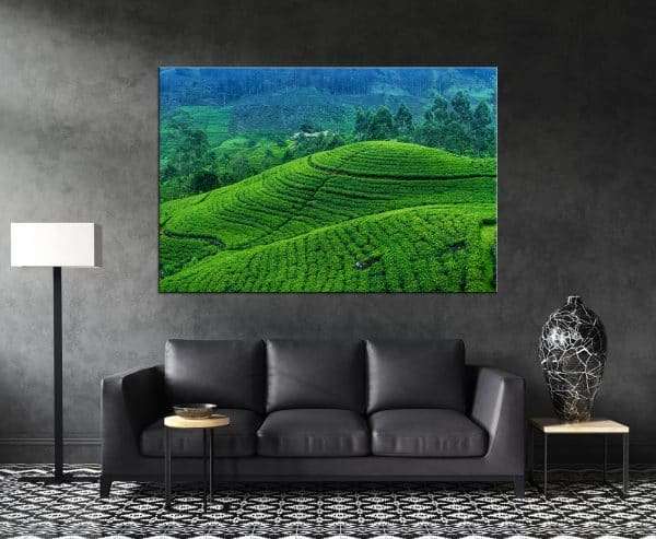 תמונת קנבס לסלון לעיצוב הבית שדות תה