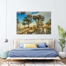 תמונת קנבס החוף הסבירי לסלון לעיצוב הבית