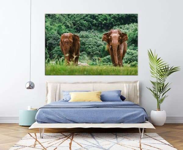 תמונת קנבס הפילים המהלכים לסלון לעיצוב הבית