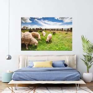 תמונת קנבס - כבשים ארמנים לסלון לעיצוב הבית