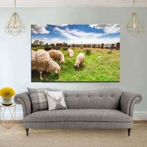 תמונת קנבס - כבשים ארמנים לסלון לעיצוב הבית