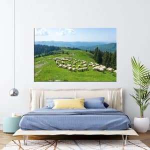תמונת קנבס - כבשים לבנות של הרי הקרפטים לסלון לעיצוב הבית