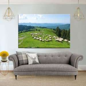 תמונת קנבס - כבשים לבנות של הרי הקרפטים לסלון לעיצוב הבית