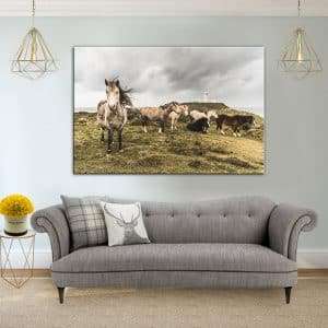 תמונת קנבס סוסים דרמתיים לסלון לעיצוב הבית
