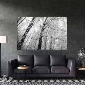 תמונת קנבס - עצים לבנים מושלגים לסלון לעיצוב הבית