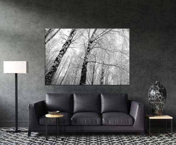 תמונת קנבס - עצים לבנים מושלגים לסלון לעיצוב הבית