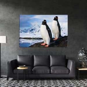 תמונת קנבס פינגווינים בעמדת תצפית לסלון לעיצוב הבית