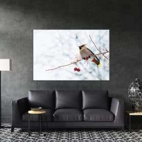תמונת קנבס ציפור שיר אינדיאנית לסלון לעיצוב הבית
