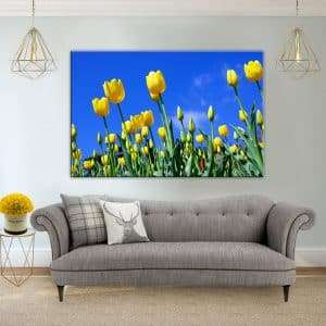 תמונות קנבס - הפרחים הצהובים לסלון לעיצוב הבית