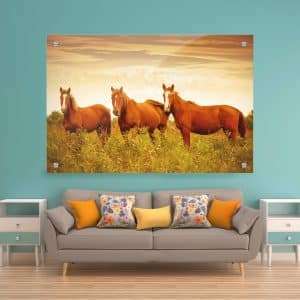 תמונת זכוכית - סוסי אדמה לעיצוב הבית על קיר בסלון