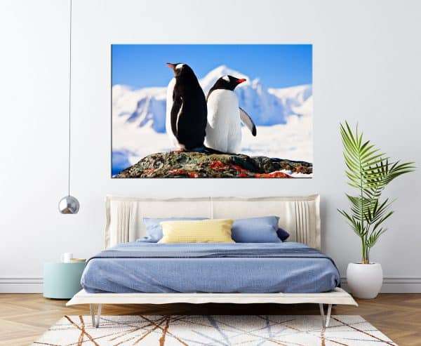 תמונת קנבס תצפית הפינגווין לסלון לעיצוב הבית
