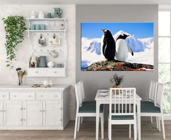 תמונת קנבס תצפית הפינגווין לסלון לעיצוב הבית