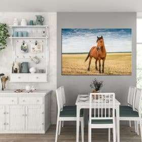תמונת קנבס סוס חושני לסלון לעיצוב הבית