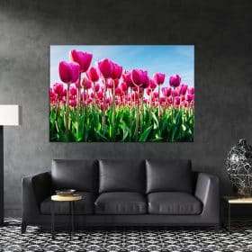 תמונת קנבס פרחי הצבעוני ורוד לסלון לעיצוב הבית