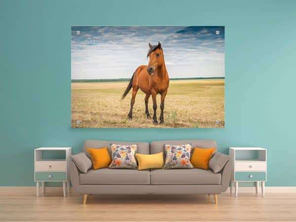 תמונת זכוכית - סוס חושני לעיצוב הבית על קיר בסלון
