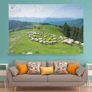 תמונת זכוכית - כבשים לבנות של הרי הקרפטים לעיצוב הבית על קיר בסלון