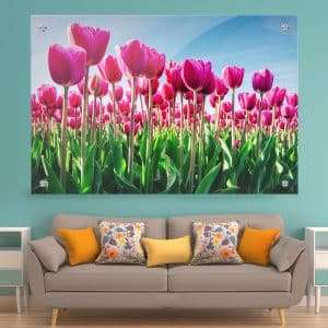 תמונת זכוכית - פרחי הצבעוני הוורד לעיצוב הבית על קיר בסלון
