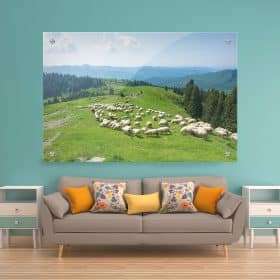 תמונת זכוכית - כבשים לבנות של הרי הקרפטים לעיצוב הבית על קיר בסלון