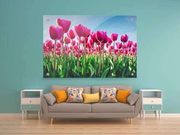 תמונת זכוכית - פרחי הצבעוני הוורד לעיצוב הבית על קיר בסלון