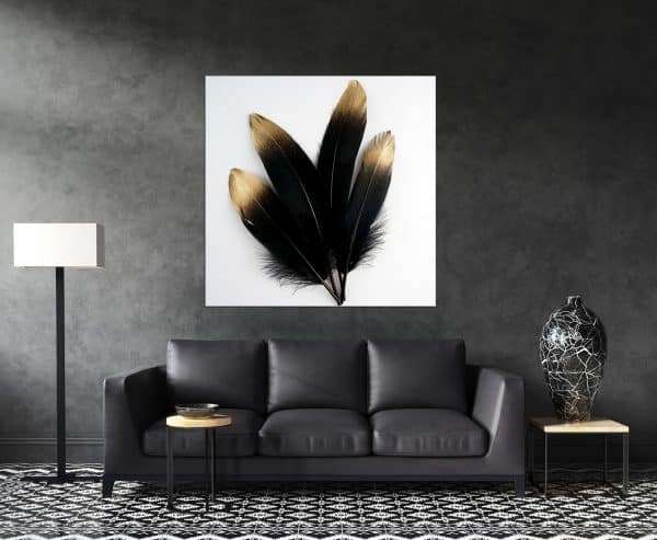 תמונת קנבס נוצות יוקרה שחורות לסלון לעיצוב הבית