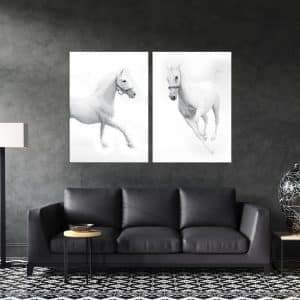 זוג תמונת סוסים אצילים לסלון לעיצוב הבית