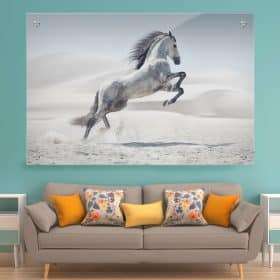 תמונת זכוכית זינוק הסוס לעיצוב הבית על קיר בסלון