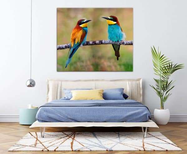 תמונת קנבס זוג ציפורים לסלון לעיצוב הבית