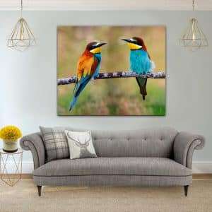 תמונת קנבס זוג ציפורים לסלון לעיצוב הבית