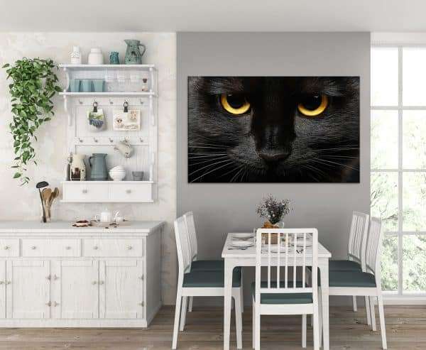 תמונת קנבס עייני חתול לסלון לעיצוב הבית
