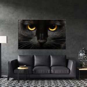 תמונת קנבס עייני חתול לסלון לעיצוב הבית