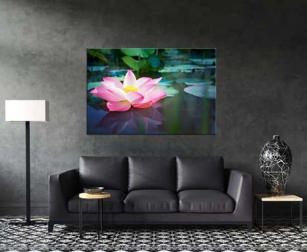 תמונת קנבס פרח הלוטוס לסלון לעיצוב הבית