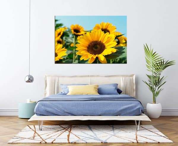 תמונת קנבס פרח השמש לסלון לעיצוב הבית