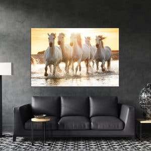 תמונת קנבס שקיעת הסוסים לסלון לעיצוב הבית