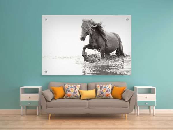 תמונת זכוכית סוס מים לסלון לעיצוב הבית