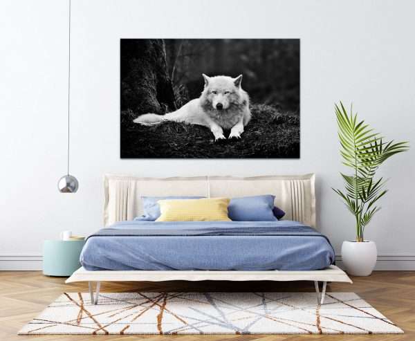 תמונת קנבס הזאב הלבן לסלון לעיצוב הבית