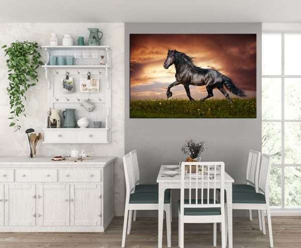 תמונת קנבס צהלת הסוס לסלון לעיצוב הבית