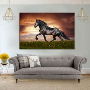 תמונת קנבס צהלת הסוס לסלון לעיצוב הבית