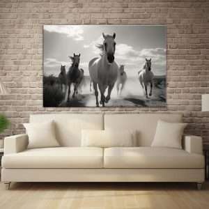תמונת קנבס - ריצת סוסים של בוקר תמונה שחור לבן לעיצוב הבית מתאים לתמונה לסלון למשרד ולכל פינה שתבחרו